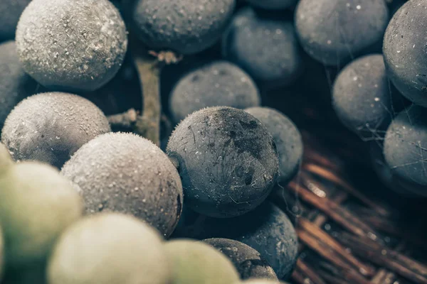 新鮮な冷凍緑と青ブドウの穀物の背景をクローズアップ マクロ ビュー — ストック写真