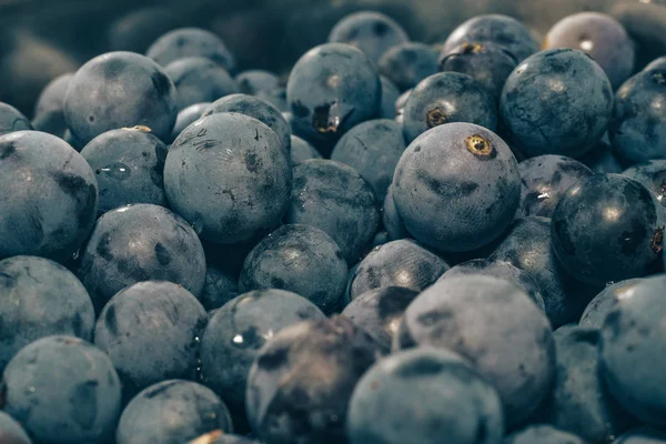 Fermer Fond Grains Raisin Bleu Frais Vue Macro — Photo