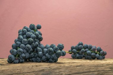 Eski bir meşe ahşap masa ve kırmızı duvar arka plan üzerinde güzel şarap Kadarka üzüm.