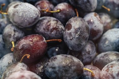 Yakın güzel taze erik arka plan kadar. Makro görünümü.