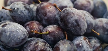 Yakın güzel taze erik arka plan kadar. Makro görünümü.