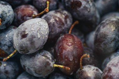 Yakın güzel taze erik arka plan kadar. Makro görünümü.