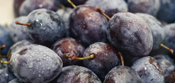 Fermer Beau Fond Prunes Fraîches Vue Macro — Photo