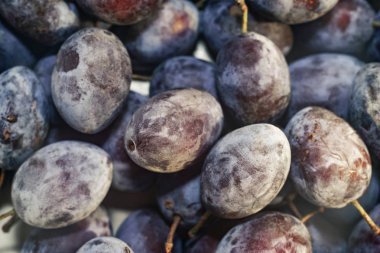 Güzel taze dondurulmuş mavi erik arka plan. Makro görünümü.