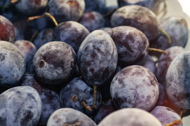 Güzel taze dondurulmuş mavi erik arka plan. Makro görünümü.