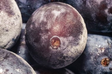 Taze dondurulmuş mavi erik arka plan kapatın. Makro görünümü.