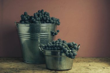 Eski bir meşe ahşap masa ve kırmızı duvar arka plan üzerinde gümüş sepet güzel şarap üzüm.