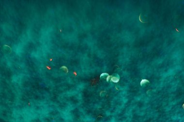 Yeşil bir arka plan üzerinde güzel abstact ışık bokeh.