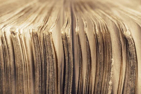 Chiudere Vecchio Libro Pagine Sfondo Vista Macro — Foto Stock