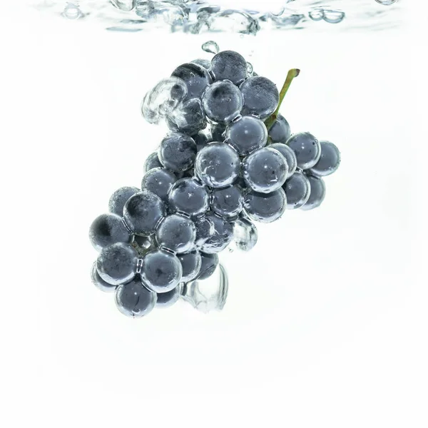 美丽的蓝葡萄酒葡萄在水中白色背景 — 图库照片