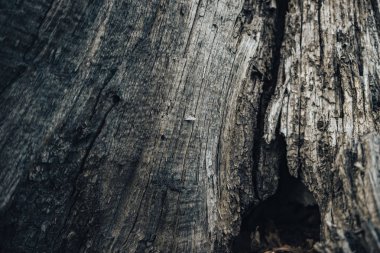 Güzel eski ahşap arka plan dokusu.