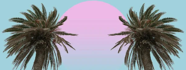 Mooi Abstract Surrealistisch Landschap Palmboom Collage Concept Eigentijdse Kleuren Stemming — Stockfoto