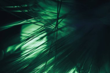 Güzel optik fiber renkli çizgi koyu arkaplanda bokeh.