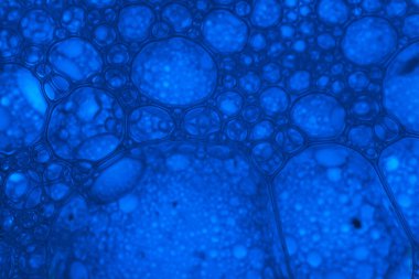 Çok güzel soyut mavi baloncukları suyla kapatın. Tasarım için soyut doğa devriyesi. 