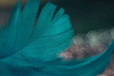 Tasarım dokusu için bir bokeh arkaplan üzerindeki Güzel Mavi Kuş tüyü desenini kapat. 