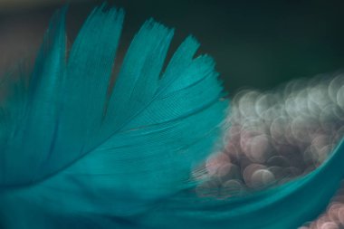 Tasarım dokusu için bir bokeh arkaplan üzerindeki Güzel Mavi Kuş tüyü desenini kapat. 