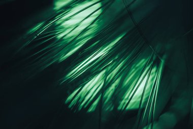 Güzel optik fiber renkli çizgi koyu arkaplanda bokeh.