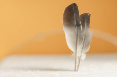 Sarı arkaplan desenli güzel gri kuş tüyü.