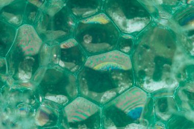 Güzel, yeşil, soyut sabun köpüklerini kapatın. Tasarım için arkaplan modeli. Makro fotoğrafçılık görünümü.