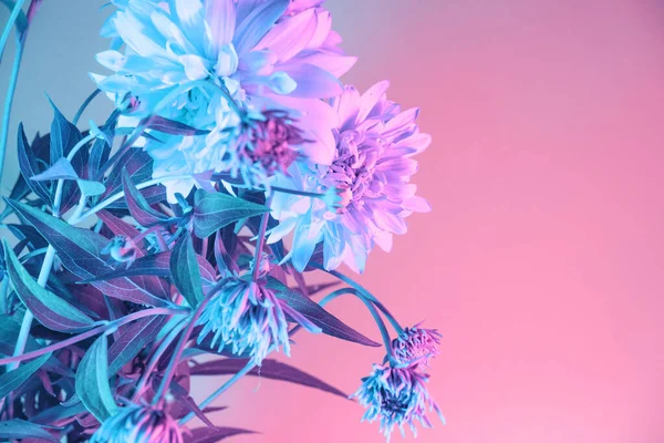 Zamknij Piękne Kwiaty Neonowym Świetle Koncepcja Minimalizmu Stylu Retro Lata — Zdjęcie stockowe