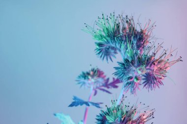 Neon ışıkta güzel çiçekleri kapat. Minimalizm retro tarzı konsept. Tasarım için arkaplan deseni.