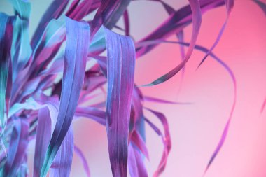 Soyut yaprak bitkisi pembe ışık. Neon ışıkta çok güzel bir bitki. Minimalizm retro tarzı konsept. Tasarım için arkaplan deseni. 