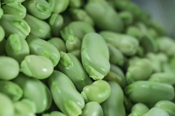 デザインのための美しい新鮮な豆のパターンの背景テクスチャ — ストック写真