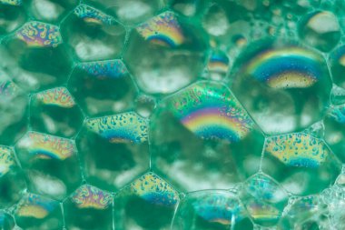 Güzel, yeşil, soyut sabun köpüklerini kapatın. Tasarım için arkaplan modeli. Makro fotoğrafçılık görünümü.