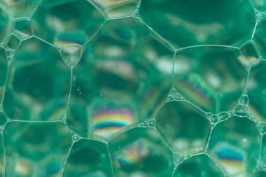 Güzel, yeşil, soyut sabun köpüklerini kapatın. Tasarım için arkaplan modeli. Makro fotoğrafçılık görünümü.