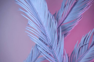 Neon ışığında güzel bir palmiye yaprağı. Minimalizm retro tarzı konsept. Tasarım için arkaplan dokusu. 