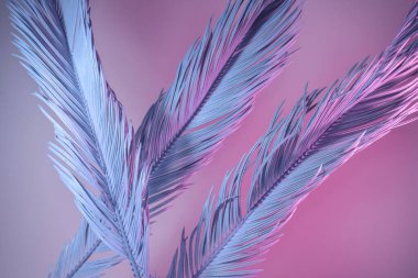 Neon ışığında güzel bir palmiye yaprağı. Minimalizm retro tarzı konsept. Tasarım için arkaplan dokusu. 