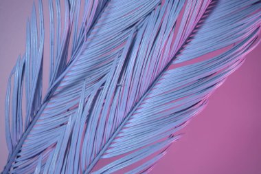 Güzel palmiye yaprağını neon ışıkta kapat. Minimalizm retro tarzı konsept. Tasarım için arkaplan dokusu. 