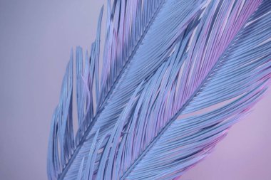 Güzel palmiye yaprağını neon ışıkta kapat. Minimalizm retro tarzı konsept. Tasarım için arkaplan dokusu. 