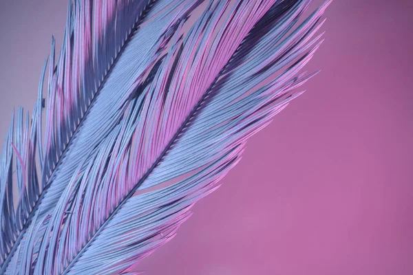 Güzel palmiye yaprağını neon ışıkta kapat. Minimalizm retro tarzı konsept. Tasarım için arkaplan dokusu. 