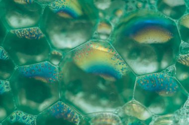 Güzel, yeşil, soyut sabun köpüklerini kapatın. Tasarım için arkaplan modeli. Makro fotoğrafçılık görünümü.