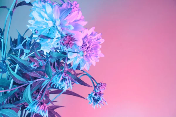 Close Beautiful Flowers Neon Light Minimalism Retro Style Concept 80S — Stock Photo, Image