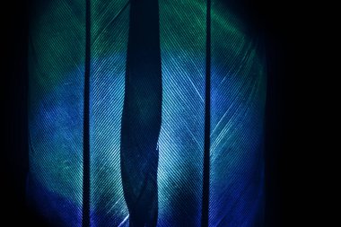 Kuş tüyü neon renkli ışık. Tasarım için güzel bir arka plan dokusu. Makro fotoğrafçılık görünümü.