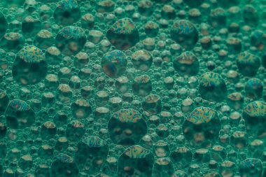 Tasarım için güzel soyut yeşil baloncuklar arka plan deseni. Arkaplan, pankart için sıvı dokusu.