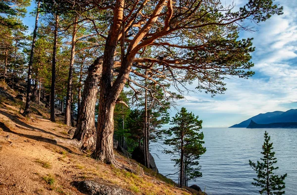 Wspaniały Letni Dzień Jezioro Bajkał — Zdjęcie stockowe