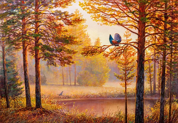 Spruce forest.landscape oil P 의 야생 자연 의 tetrao urogallus — 스톡 사진