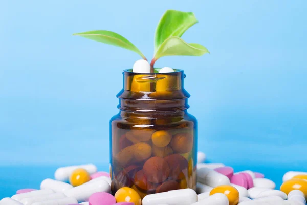 Kruiden pillen met medische plant. Natuurlijk tradicional Medicine concept. — Stockfoto