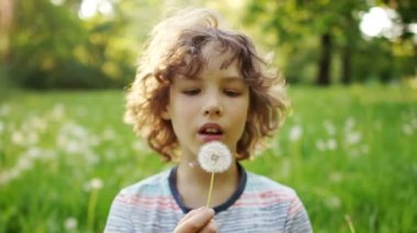 Bir karahindiba üfleme şirin, kıvırcık saçlı bir çocuk. Yaz glade, Güneş ışınları. Çocuklar günü. Dinamik video
