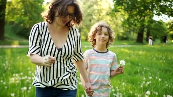 Mamá e hijo están caminando por el bosque de primavera, tomados de la mano. Llevan dientes de león y les quitan las semillas. Feliz maternidad. Día de las Madres — Vídeos de Stock