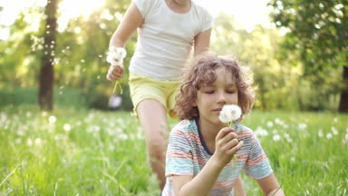 Mutlu çocuk, kardeşi ve kız kardeşi, oyun yaz glade. Onlar kucaklamak, karahindiba darbe ve mutlu bir şekilde gülmek. Dinamik video