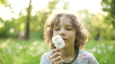 Dinamik video. Bir çocuk üzerinde bir karahindiba esiyor. Çiçek tohum dağılım rüzgarda. Yaz tatili. Aile tatili. Çocuklar günü