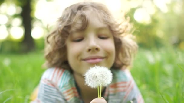 Mutlu bir çocuğun elinde bir çiçek ile bir yaz çayır üzerinde yatıyor. Bir karahindiba üzerinde üfleme kıvırcık saçlı bir çocuk. Çocuklar günü. Mutlu yaz tatili — Stok video