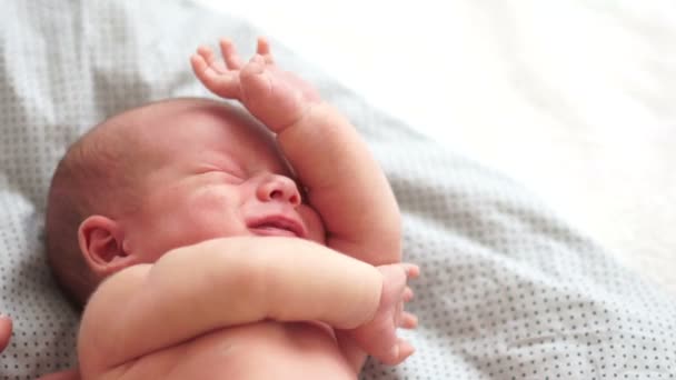 Мечта о новорожденном. Трехнедельный ребенок машет руками во сне, маленькое личико, бессознательные гримасы новорожденных. Выражения лиц новорожденных — стоковое видео