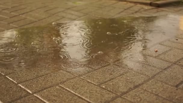 Puddle en el pavimento. Gotas de lluvia caen al agua. Bebé pies desnudos corren a través de la piscina rociando agua — Vídeos de Stock