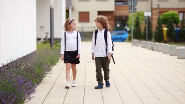 Pojken eskort flickan från skolan. Han ser på henne med en kärleksfull blick. flickan ler och klappar honom på axeln. School kärlek. Första kärlek — Stockvideo