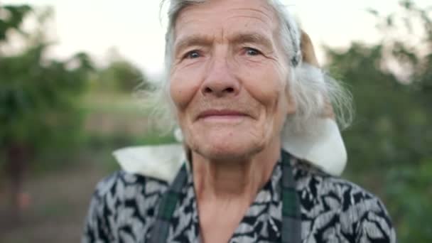 伟大的祖母看着框架。灰色的眼睛和灰色的头发, 深的皱纹。一个非常老的妇女与亲切的眼睛的画像 — 图库视频影像